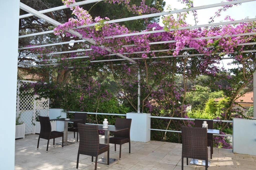Guerrini Hotel كاسْتيلونْشيلّو المظهر الخارجي الصورة